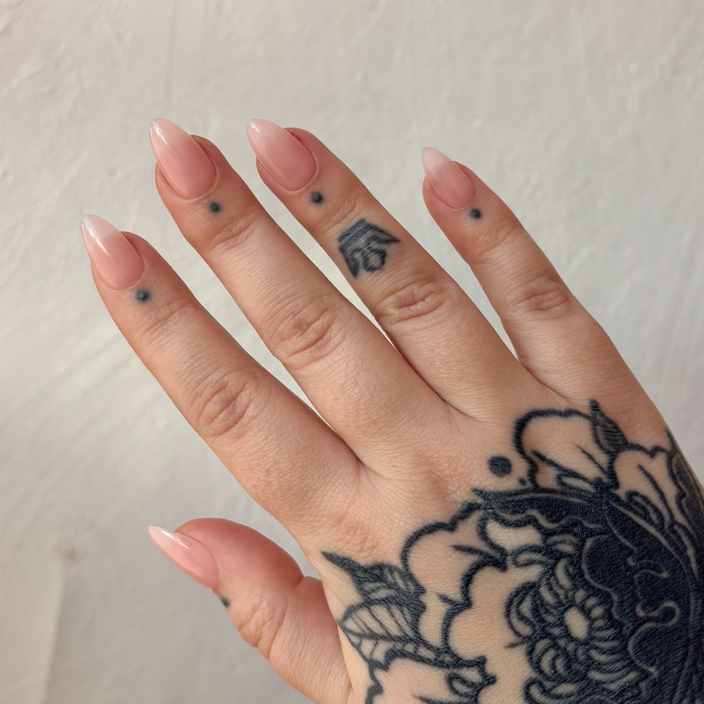 Sizing kit pour press-on nails