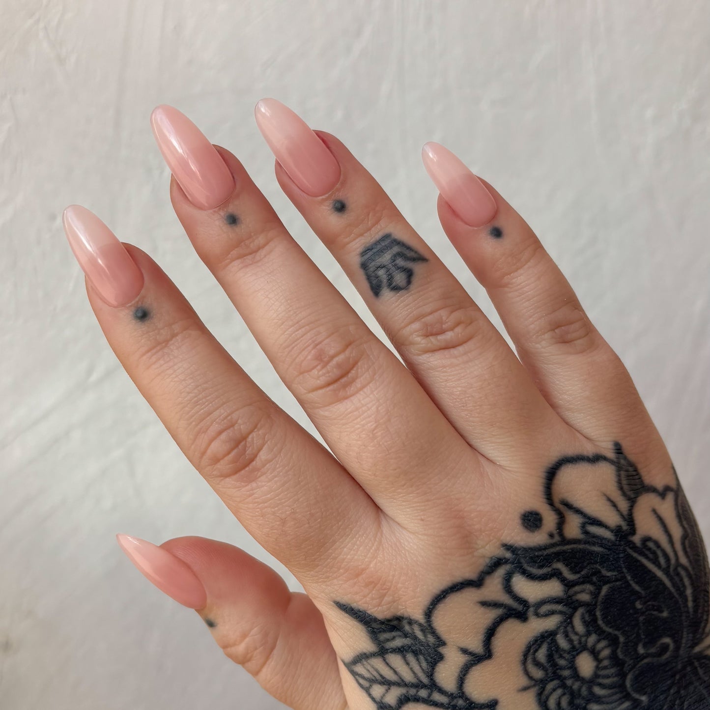 Sizing kit pour press-on nails