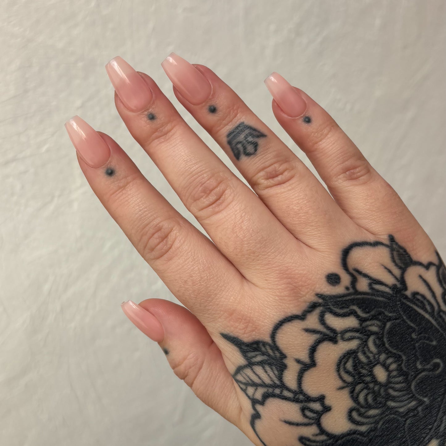 Sizing kit pour press-on nails