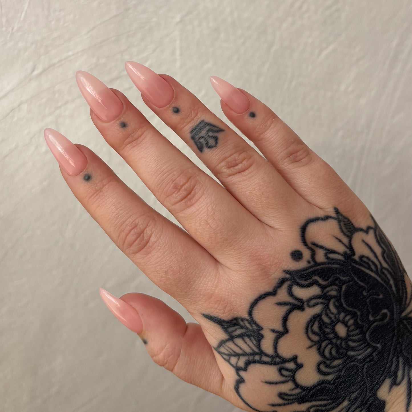 Sizing kit pour press-on nails